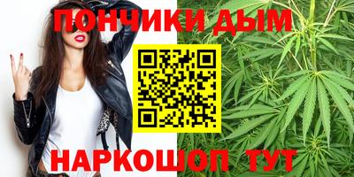 прущие грибы Обнинск