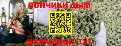 прущие грибы Обнинск