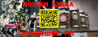 прущие грибы Обнинск