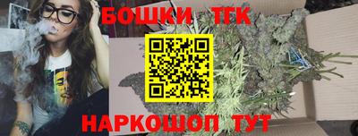 дмт Обь