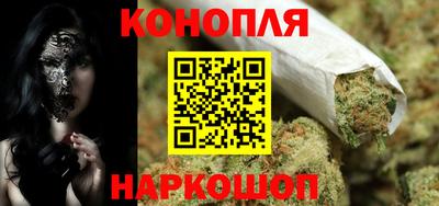 прущие грибы Обнинск