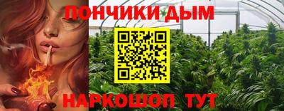 дмт Обь