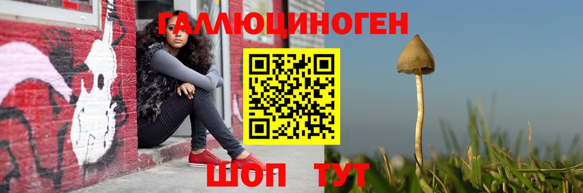 Псилоцибиновые грибы Magic Shrooms  Вход с VPN  Светлоград  Галлюциногенные грибы Magic Shrooms 