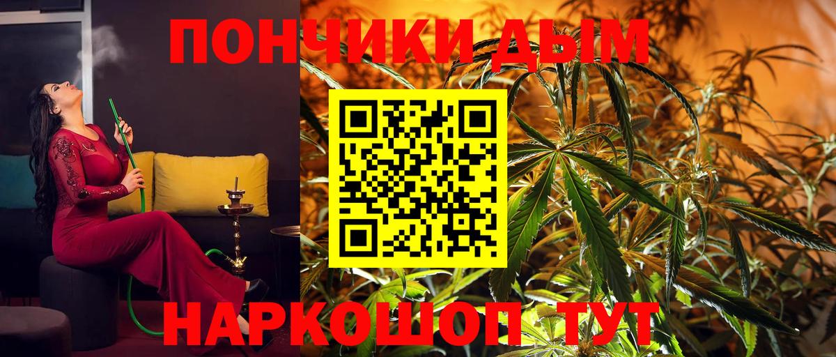 Светлоград  Бошки марихуана план  Вход с VPN  Каннабис гибрид  Бошки марихуана Amnesia 